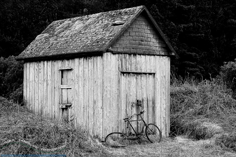slides/The Bike Shed.jpg glen etive bike shed old wooden hut scotland rustic grass moss decrepid broken busted buckled wheel The Bike Shed